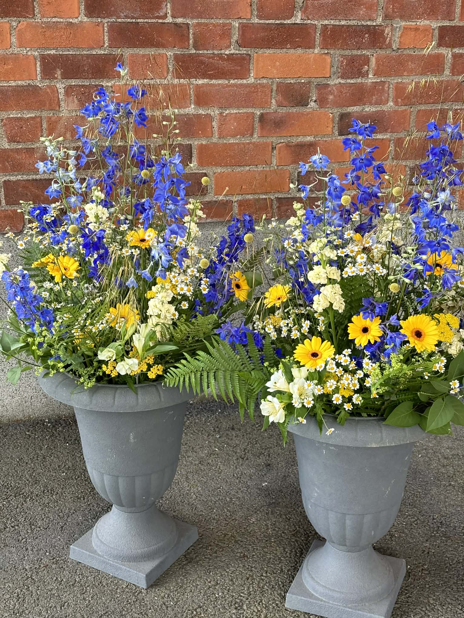 Midsommarstjärnor i blått och gult